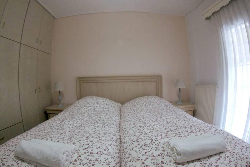 Big Apartment 1 - City Center Kalambaka Zewnętrze zdjęcie