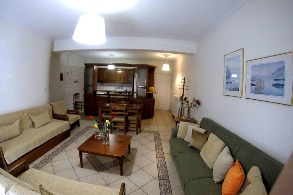 Big Apartment 1 - City Center Kalambaka Zewnętrze zdjęcie