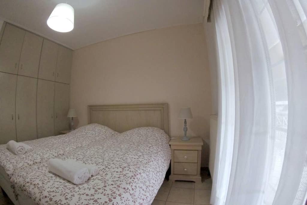 Big Apartment 1 - City Center Kalambaka Zewnętrze zdjęcie